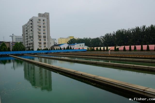 城市污水处理的问题及解决方法