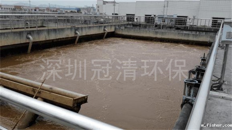 1749633185206009.jpg 027d15b7c90de80946ea45a33c0a6fa63707.jpg