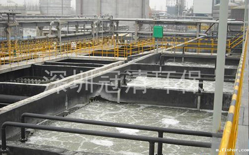 1750917959354341.jpg 1623221V8-0.jpg