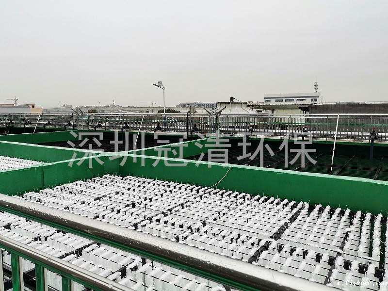 1752743573198606.jpg Aws246.jpg