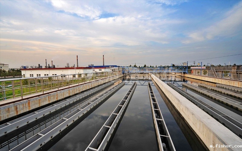 1752897724188273.jpg 1G92a9C-0.jpg